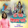 About Om Namah Shivay Gaye Song